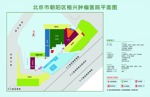 美女色色被操网站北京市朝阳区桓兴肿瘤医院平面图